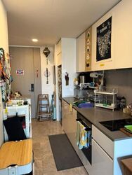 Amber Park (D15), Condominium #566277031
